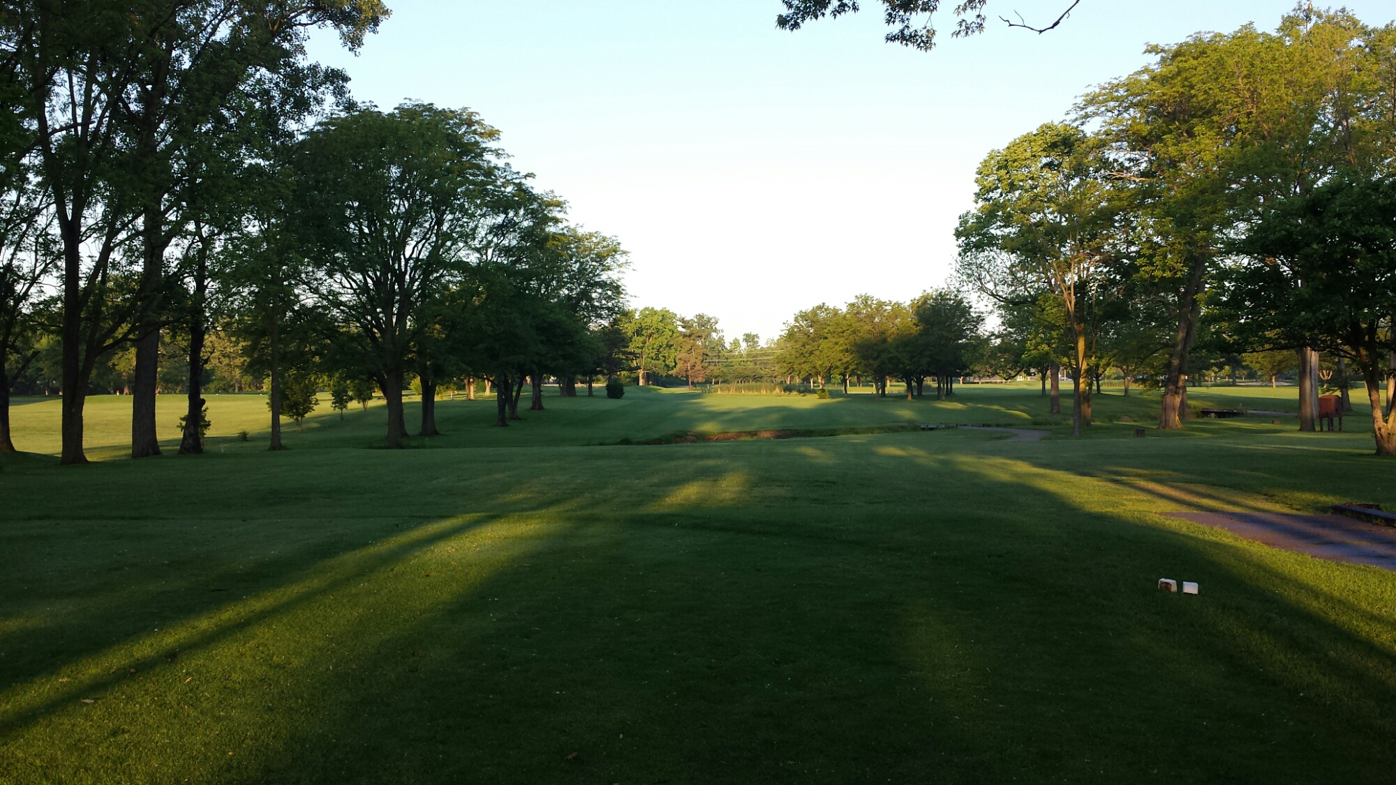 Wilson Road Golf Course Mateo de Colón