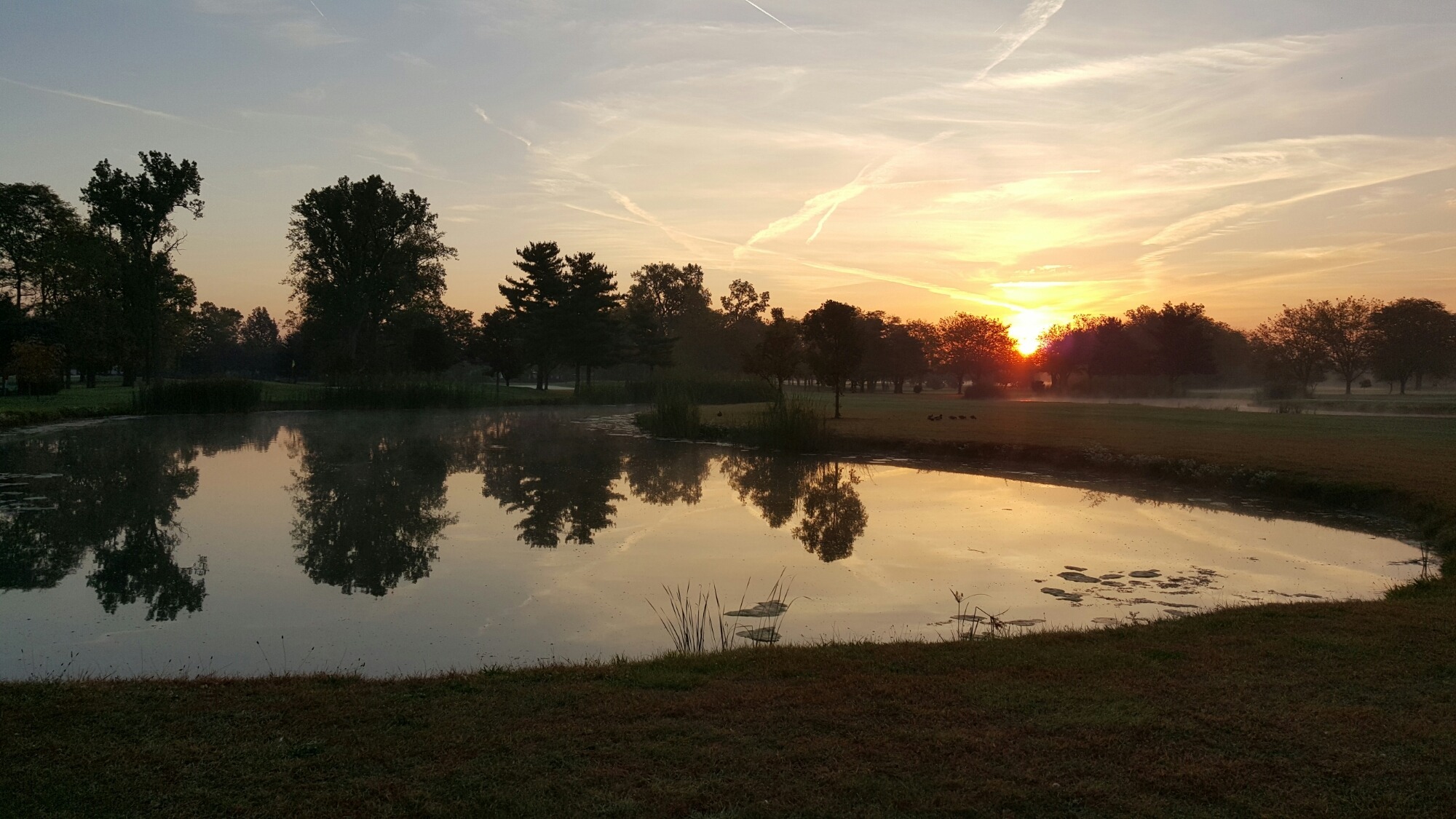 Memories of Raymond Memorial and Wilson Road Golf Courses Mateo de Colón